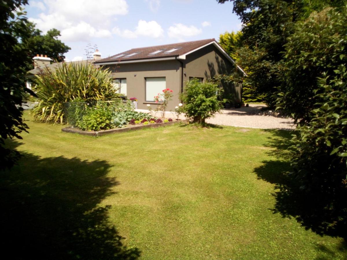 גלוואיי Spacious Contemporary Chalet Type Apartment. מראה חיצוני תמונה