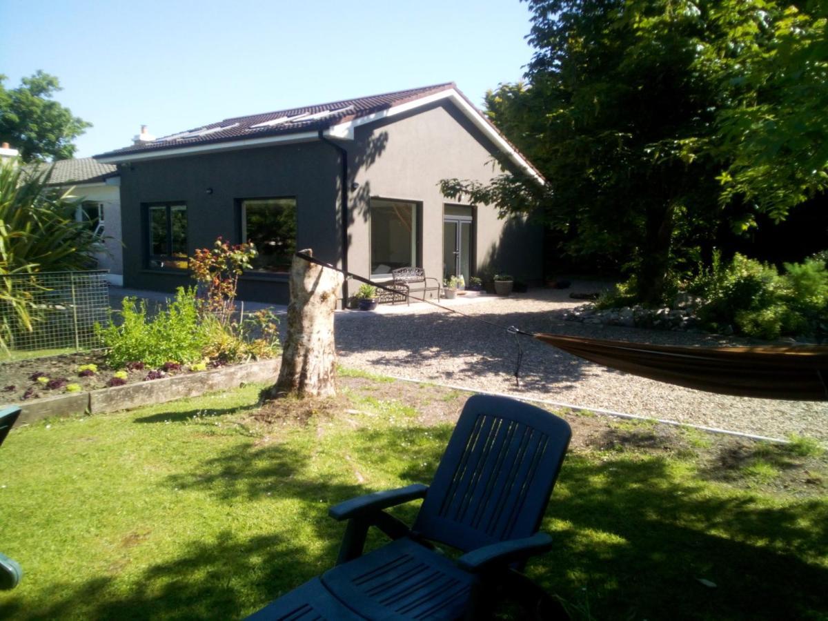 גלוואיי Spacious Contemporary Chalet Type Apartment. מראה חיצוני תמונה