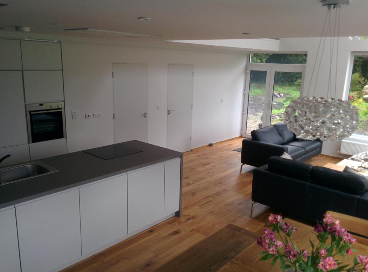 גלוואיי Spacious Contemporary Chalet Type Apartment. מראה חיצוני תמונה