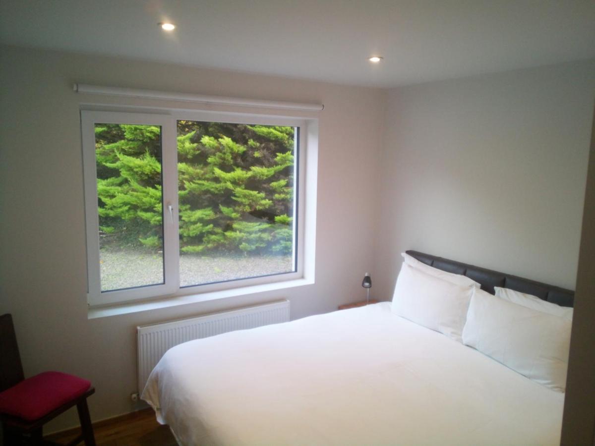 גלוואיי Spacious Contemporary Chalet Type Apartment. מראה חיצוני תמונה